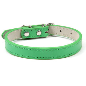 Basic Adjustable Pet Collar, Multiple Colors & Sizes – Daxwell™