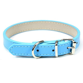 Basic Adjustable Pet Collar, Multiple Colors & Sizes – Daxwell™
