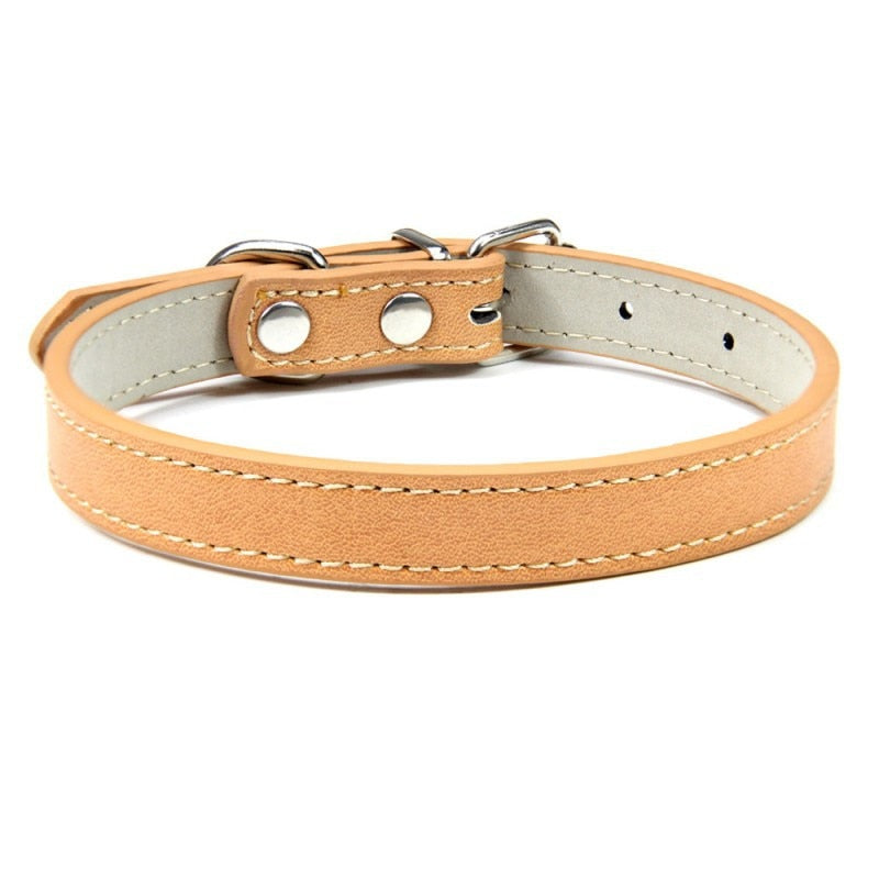 Basic Adjustable Pet Collar, Multiple Colors & Sizes – Daxwell™