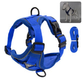 Reflective Collar and Leash Set for Dogs and Cats – ClipWalk™