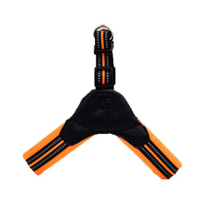 Padded Leather Chest Harness & Leash Set with Reflective Strip – Loxby™