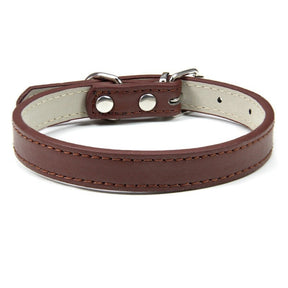 Basic Adjustable Pet Collar, Multiple Colors & Sizes – Daxwell™