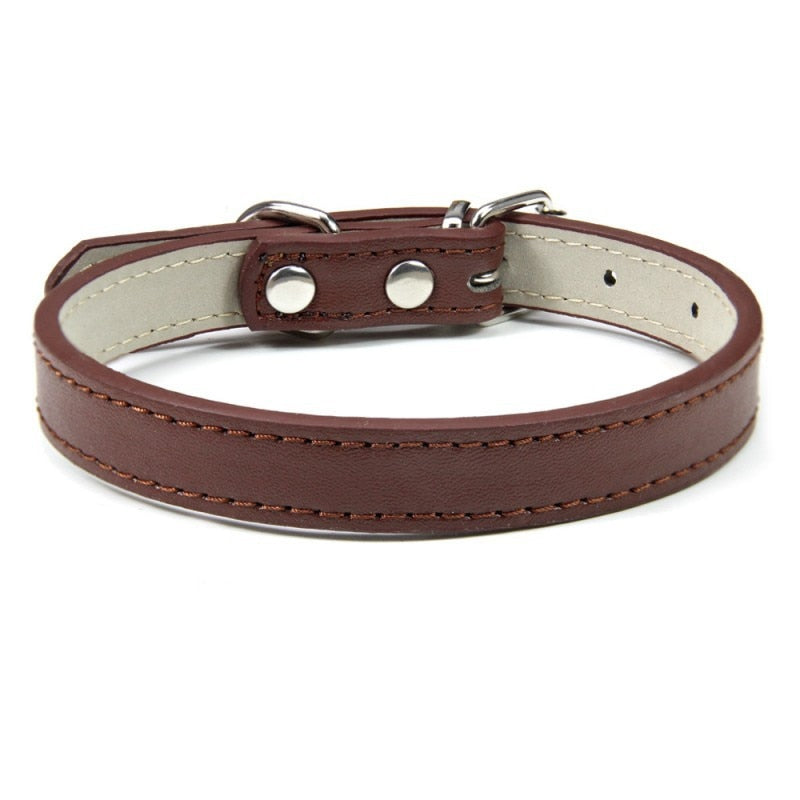 Basic Adjustable Pet Collar, Multiple Colors & Sizes – Daxwell™