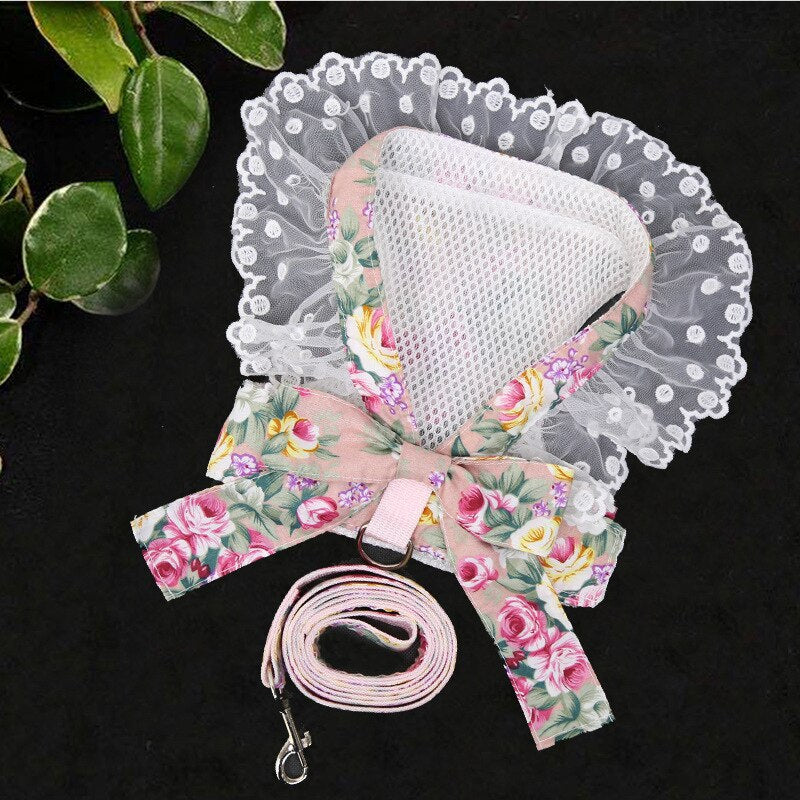 Bow-Style Collar & Leash Set with Adjustable Chest Fit – Pawlyn™
