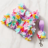 Floral Print Dog Collar & Leash Set, Small to Large – Petalo™