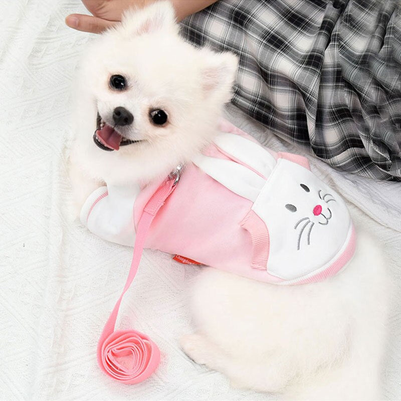 Cartoon Pet Outfit & Matching Leash Set – Fuzzo™