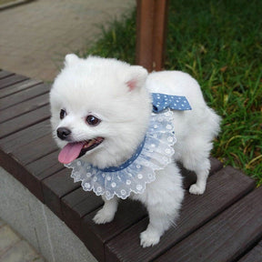 Bow-Style Collar & Leash Set with Adjustable Chest Fit – Pawlyn™