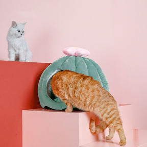 Flower-Shaped Pet Bed with Removable Cushion – CactusBloom™