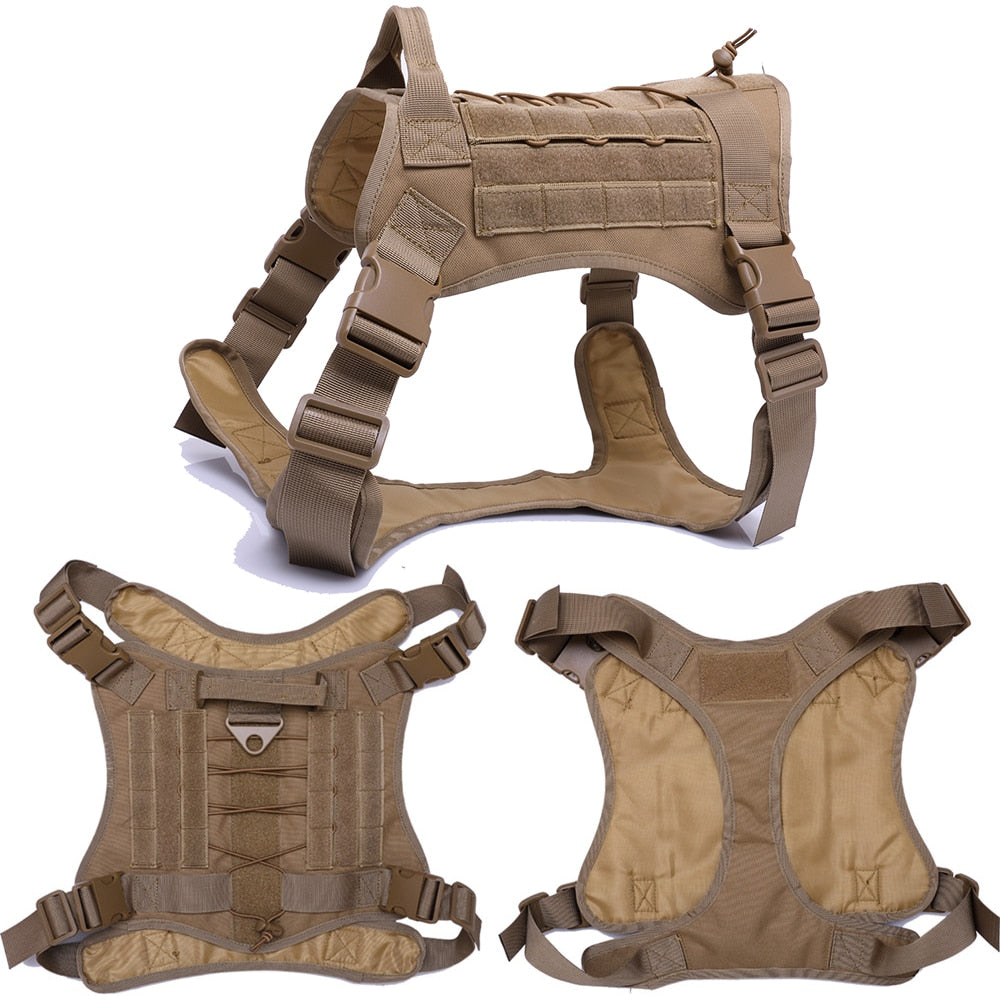 Nylon Chest Harness & Leash Training Set for Medium to Large Dogs – FieldRun™