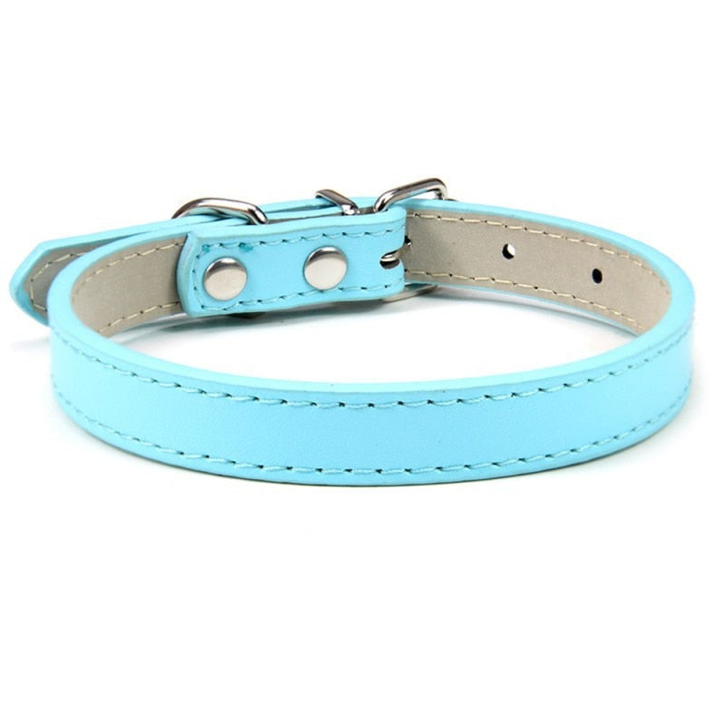 Basic Adjustable Pet Collar, Multiple Colors & Sizes – Daxwell™