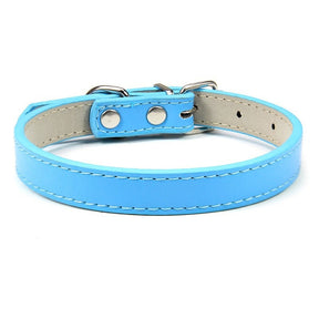 Basic Adjustable Pet Collar, Multiple Colors & Sizes – Daxwell™