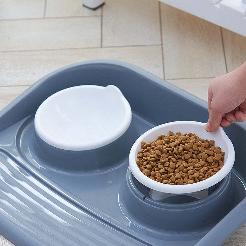 Double Pet Bowl Set with Divided Design for Dogs & Cats – Platterly™