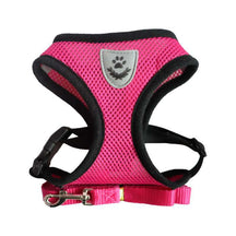 Polyester Pet Harness & Leash Set – Pawsway™