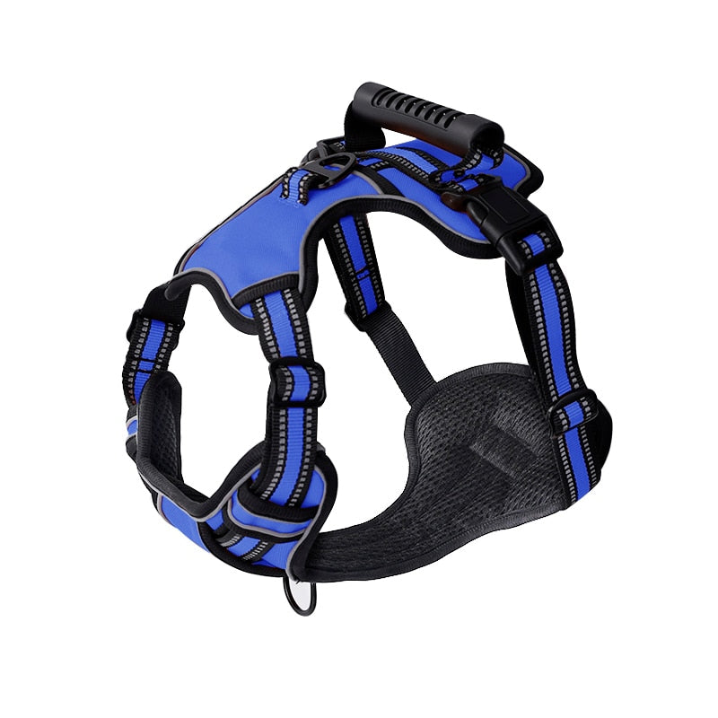 Adjustable Harness Collar for Small to Large Dogs – Nimro™