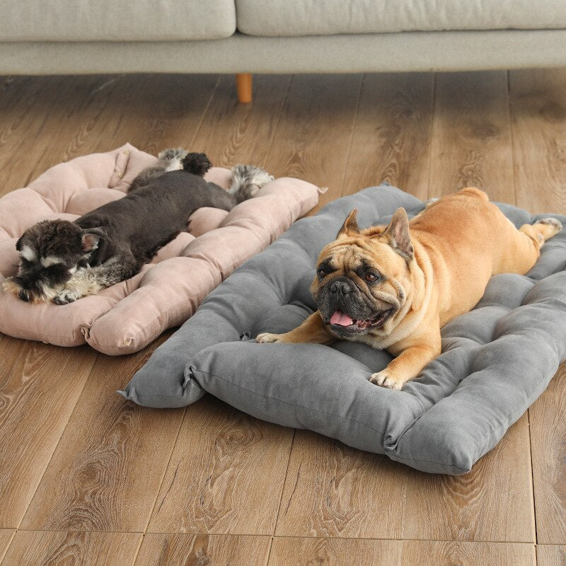3-in-1 Velvet Pet Bed with Convertible Design – Page™