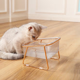 Elevated Clear Pet Bowl with Tilted Iron Base – Tiltera™