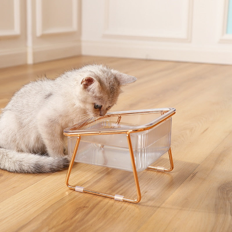 Elevated Clear Pet Bowl with Tilted Iron Base – Tiltera™