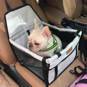 Pet Car Seat with Collar Attachment for Travel – Lucky
