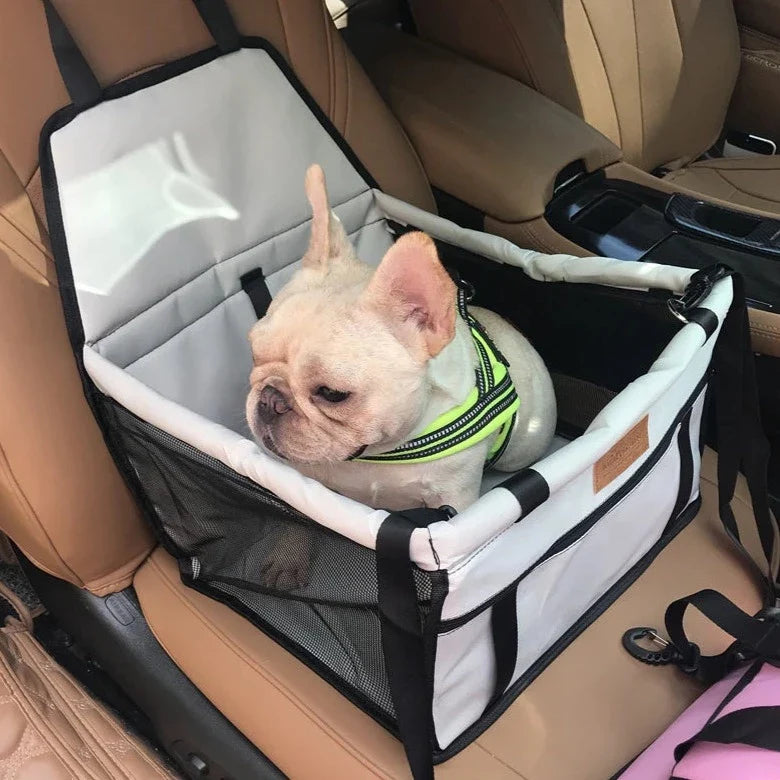 Pet Car Seat with Collar Attachment for Travel – Lucky