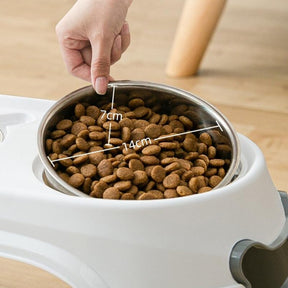 Ergonomic Elevated Pet Bowl Set with Non-Slip Stand – Levaro™