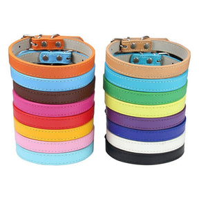 Basic Adjustable Pet Collar, Multiple Colors & Sizes – Daxwell™