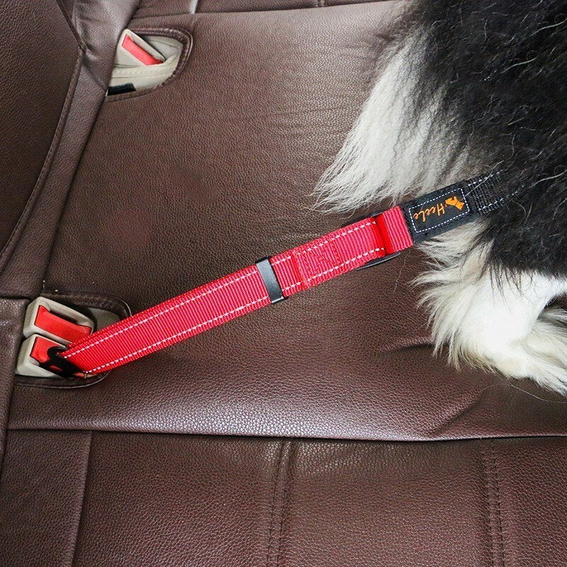 Adjustable Pet Car Seat Belt Safety Harness – Buckly™