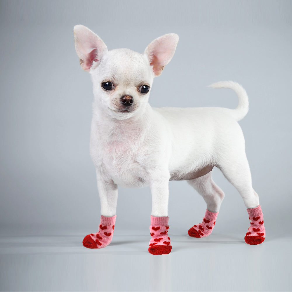 Pet Lover Socks – 4-Piece Cotton Set for Dogs & Cats – Padstep™