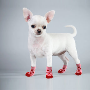 Pet Lover Socks – 4-Piece Cotton Set for Dogs & Cats – Padstep™