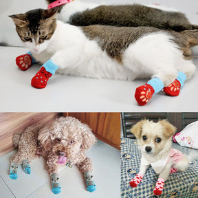 Pet Lover Socks – 4-Piece Cotton Set for Dogs & Cats – Padstep™