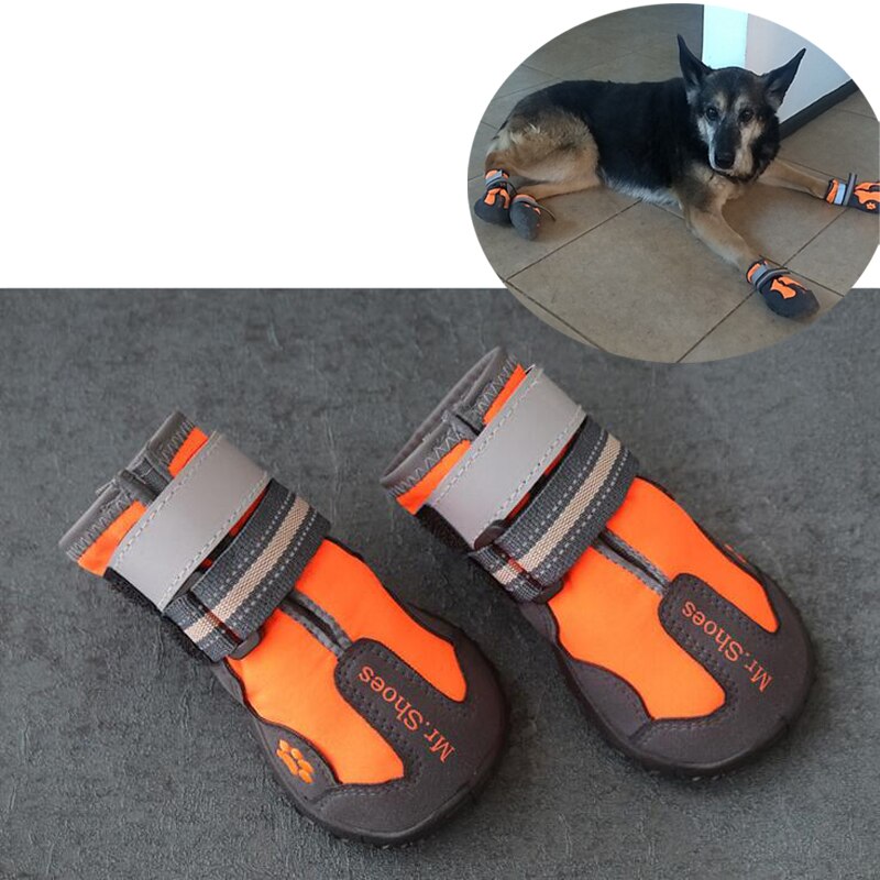 Pet Shoes in 8 Sizes for Dogs & Cats – PawTrek™