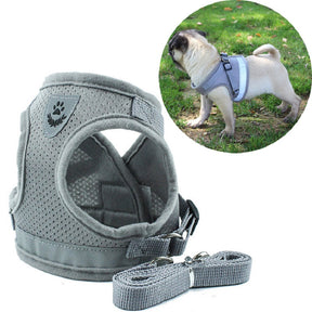 Adjustable Vest Harness & Leash Set for Dogs & Cats – Harnexo™