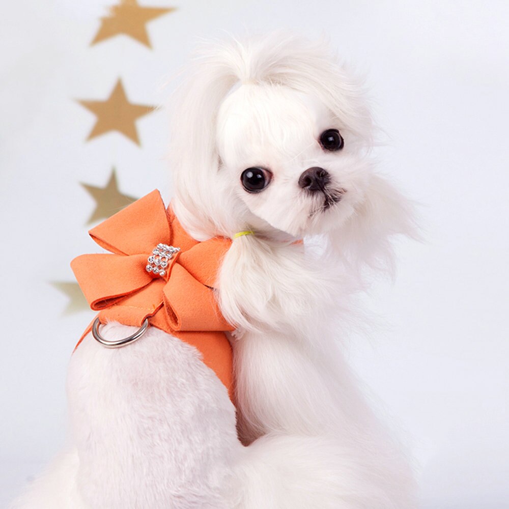 Microfiber Leather Dog Collar & Leash Set for Small to Medium Dogs – Nuzzle™