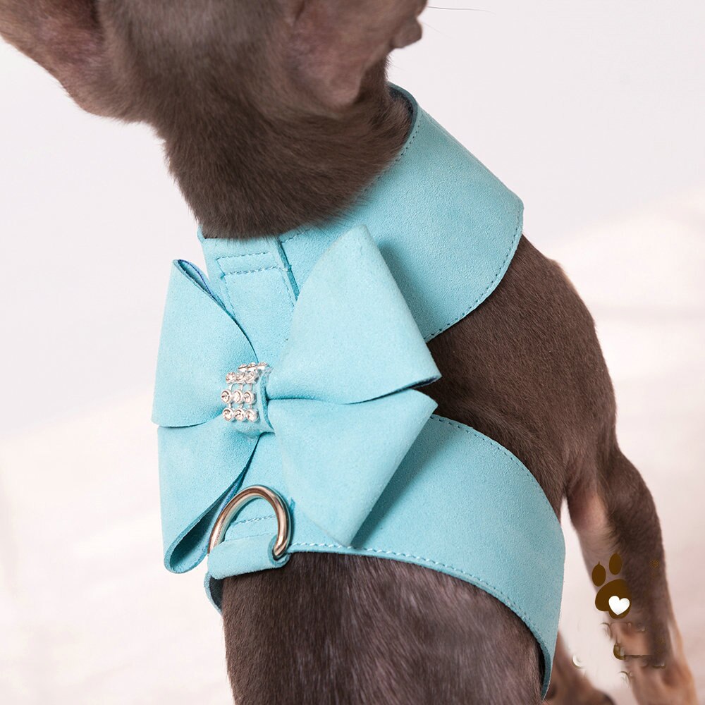 Microfiber Leather Dog Collar & Leash Set for Small to Medium Dogs – Nuzzle™