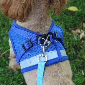 Adjustable Vest Harness & Leash Set for Dogs & Cats – Harnexo™