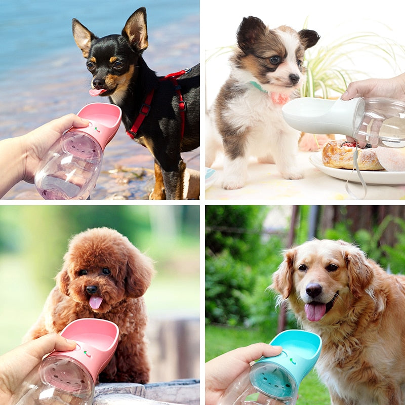 Portable Sport Water Bottle for Dogs – SipTrail™