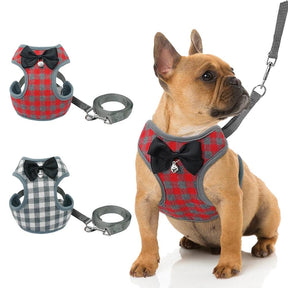 Plaid Bow Tie Vest with Leash for Dogs & Cats – Dapperly™