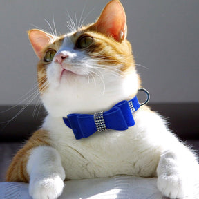 Rhinestone Leather Pet Collar for Small & Medium Dogs and Cats – Glinta™