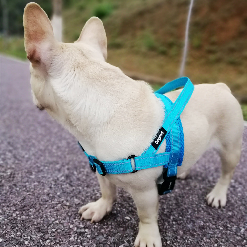 Front-Clip No-Pull Dog Harness with Reflective Trim – Nyxo™