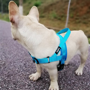 Front-Clip No-Pull Dog Harness with Reflective Trim – Nyxo™