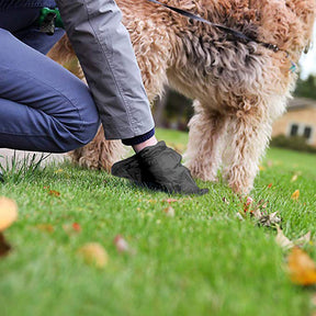 Biodegradable Dog Poop Bags with Dispenser, 16 Rolls – Scoopwell™