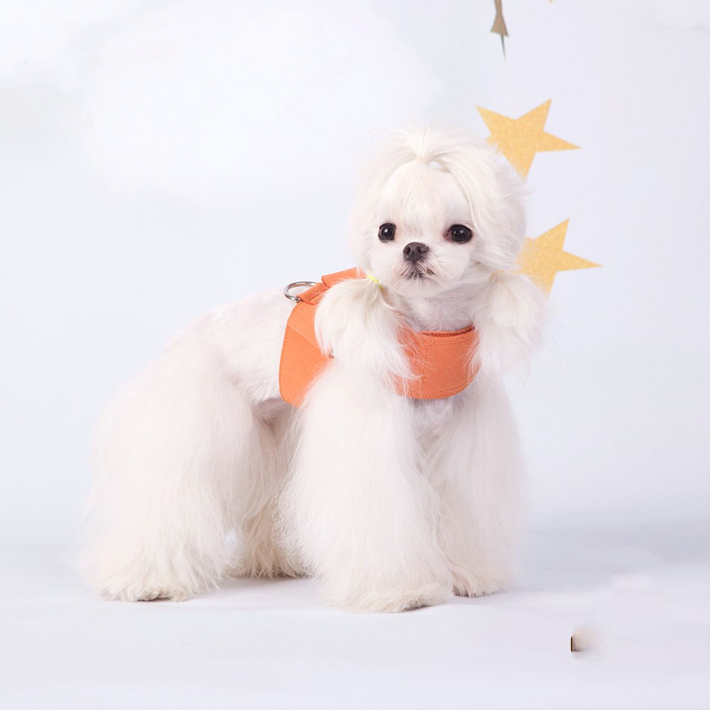 Microfiber Leather Dog Collar & Leash Set for Small to Medium Dogs – Nuzzle™