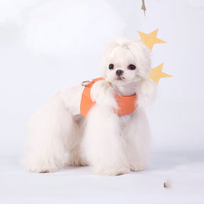 Microfiber Leather Dog Collar & Leash Set for Small to Medium Dogs – Nuzzle™