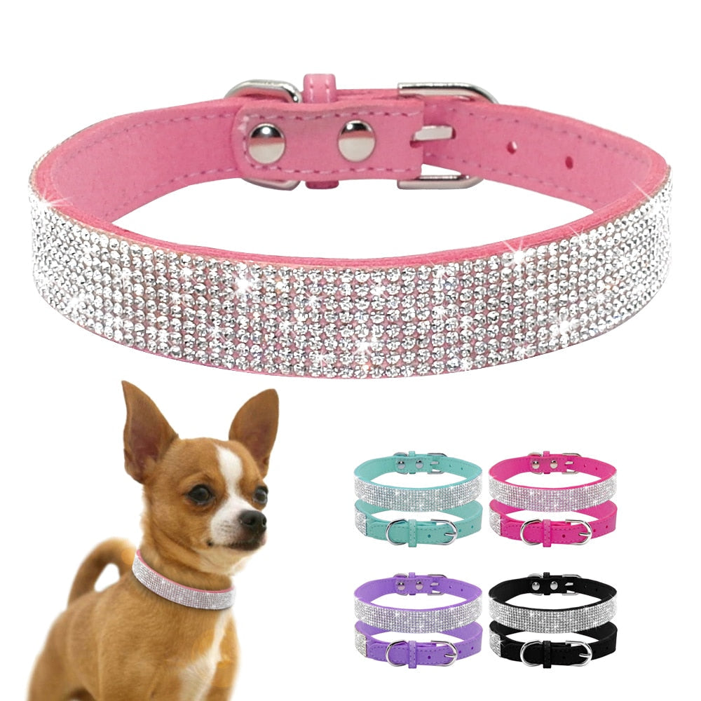 Rhinestone Leather Pet Collar for Small & Medium Dogs and Cats – Glinta™
