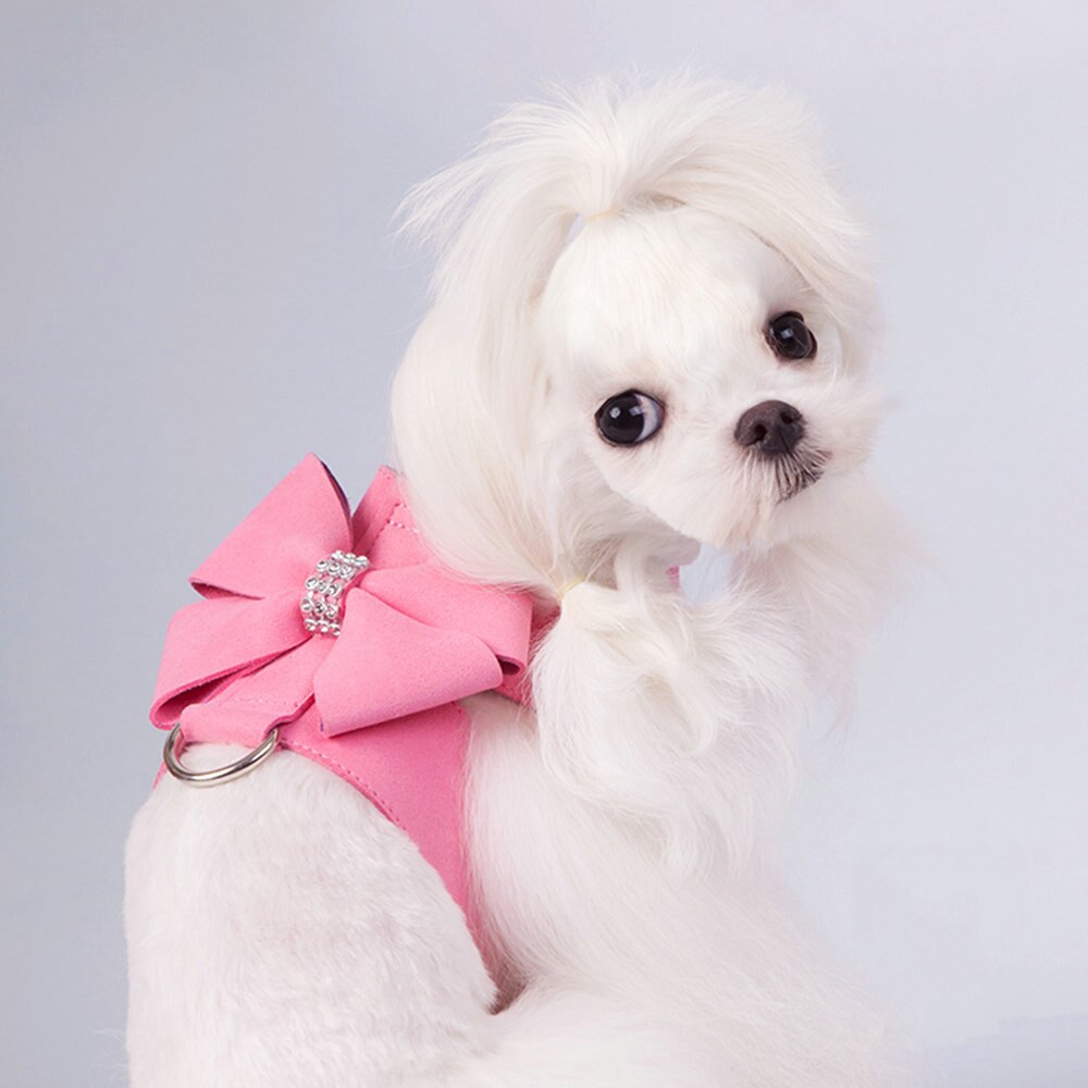 Microfiber Leather Dog Collar & Leash Set for Small to Medium Dogs – Nuzzle™