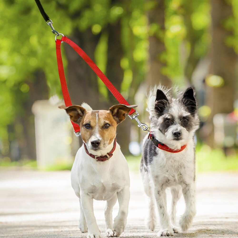 Double Dog Coupler Rope Leash for Walking Two Dogs – DualWalk™