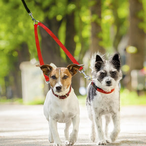 Double Dog Coupler Rope Leash for Walking Two Dogs – DualWalk™