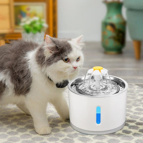 Automatic Pet Water Fountain with Carbon Filter & LED – Fontira™