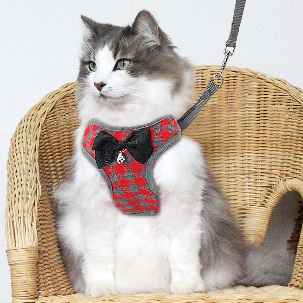 Plaid Bow Tie Vest with Leash for Dogs & Cats – Dapperly™