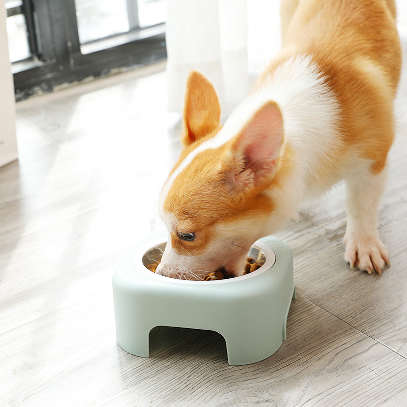 Plastic & Stainless Steel Pet Bowl with Removable Base – Nomi™