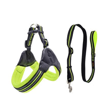 Padded Leather Chest Harness & Leash Set with Reflective Strip – Loxby™